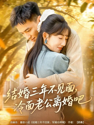 结婚三年不见面，冷面老公离婚吧（67集）短剧也太好看了