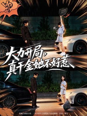 大力开局真千金她不好惹(80集) 大力开局真千金她不好惹(80集)短剧在线观看