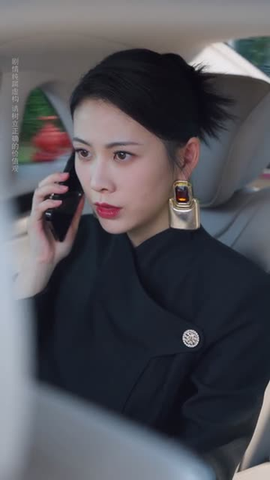 岳父归来,终止他的一切 (61集)  岳父归来,终止他的一切 (61集) 观看软件