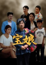 宝娘(23集) 宝娘(23集)短剧免费看全集