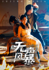 无声风暴(33集) 无声风暴(33集)每天分享短剧