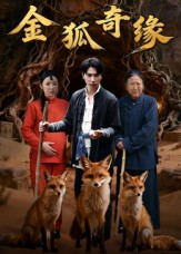 金狐奇缘(42集) 金狐奇缘(42集)爱上了这部剧了