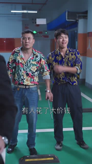 飞鸟与鱼不同路（60集）热门短剧看不停