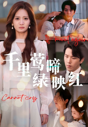 千里莺啼绿映红（63集）精彩短剧下载