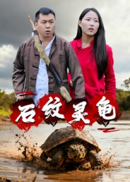 石纹灵龟（30集）集免费看短剧