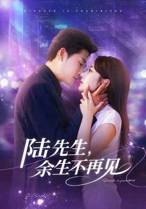 陆先生,余生不再见(88集) 陆先生,余生不再见(88集)在线免费观看