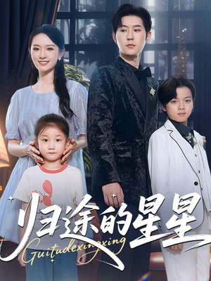 归途的星星（100集）免费看