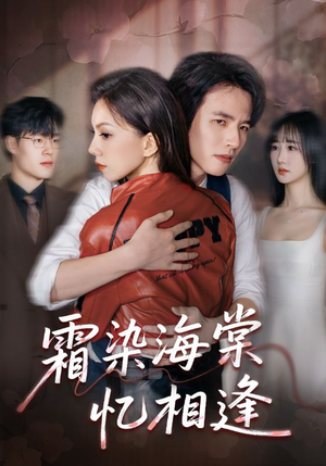 霜染海棠忆相逢（72集）热播短剧全集看