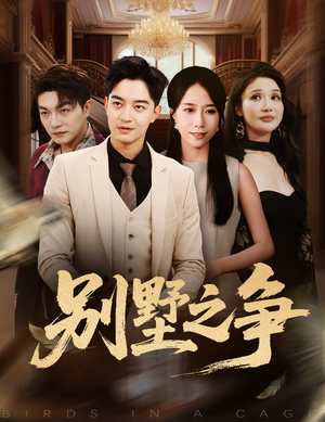 别墅之争(59集) 别墅之争(59集)剧好看短剧推荐