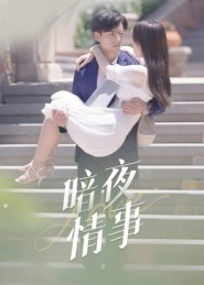 暗夜情事(100集) 暗夜情事(100集)热播短剧排行榜