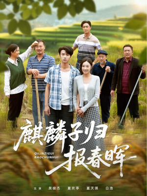 麒麟子归报春晖（36集）短剧片段推荐