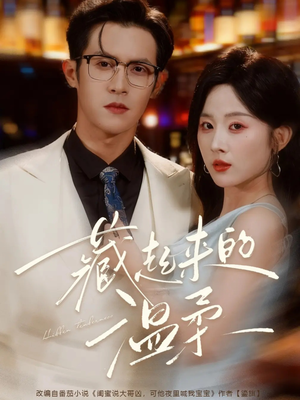 藏起来的温柔(75集) 藏起来的温柔(75集)演员表