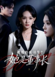 被甩的实习生?她是董事长!(59集) 被甩的实习生?她是董事长!(59集)短剧在线观看