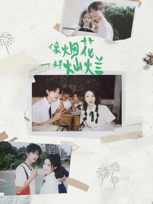 像烟花一样灿烂(60集) 像烟花一样灿烂(60集)短剧太好看了