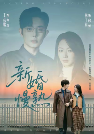 新婚慢熟(105集) 新婚慢熟(105集)全集在线看