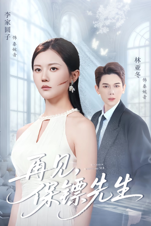 再见保镖先生(51集) 再见保镖先生(51集)爱上了这部剧了