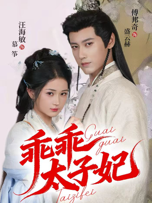 乖乖太子妃(64集) 乖乖太子妃(64集)真的太精彩了