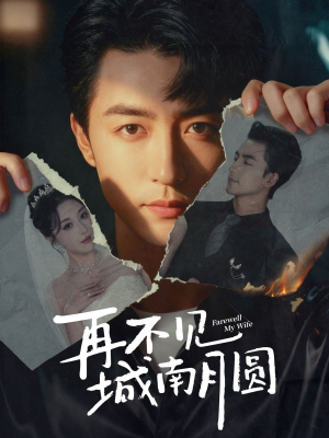 再不见城南月圆(60集) 再不见城南月圆(60集)短剧后续更精彩