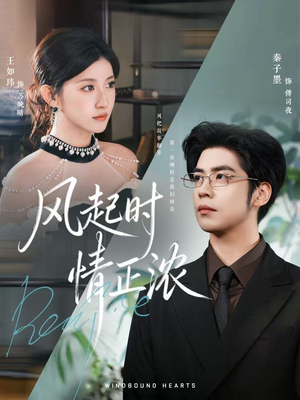 风起时情正浓(79集) 风起时情正浓(79集)今日短剧分享