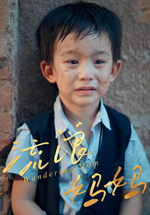 流浪妈妈（30集）免费短剧看不停