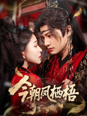 今朝凤栖梧（68集）短剧小说在线看