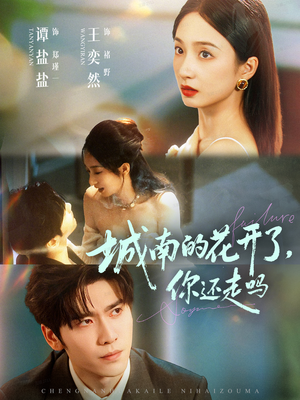 城南的花开了，你还走吗（84集）全集一次看完