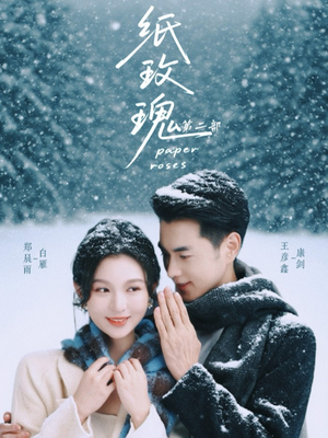 纸玫瑰第二部（80集）短剧每日分享