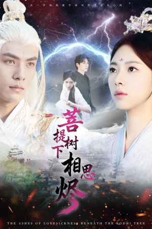 菩提树下相思烬（63集）推荐好短剧