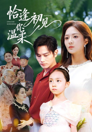 恰逢初见你温柔(86集) 恰逢初见你温柔(86集)短视频追剧推荐