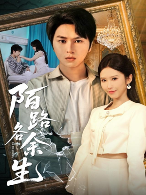 陌路各余生（65集）精彩的短剧