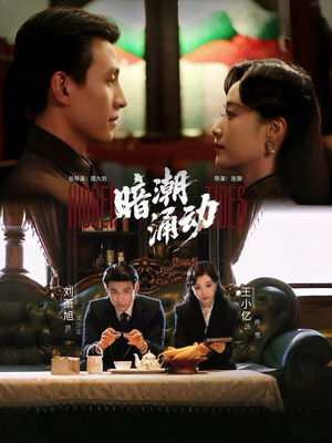 暗潮涌动(60集) 暗潮涌动(60集)第三季