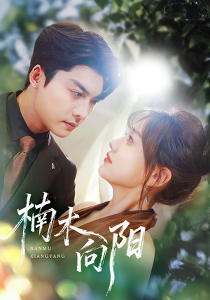 楠木向阳(70集) 楠木向阳(70集)短剧演员排行榜