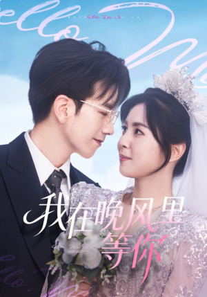 我在晚风里等你（65集）短剧解说热门