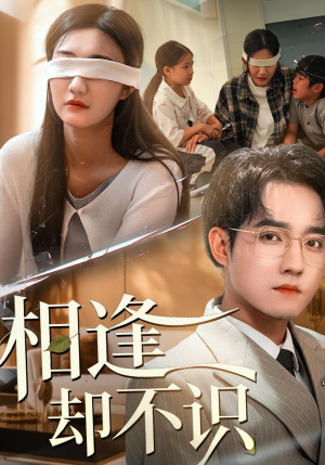 相逢却不识(77集) 相逢却不识(77集)热播短剧重燃