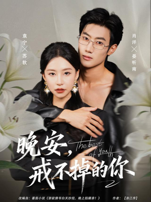 晚安,戒不掉的你(68集) 晚安,戒不掉的你(68集)大结局一气呵成