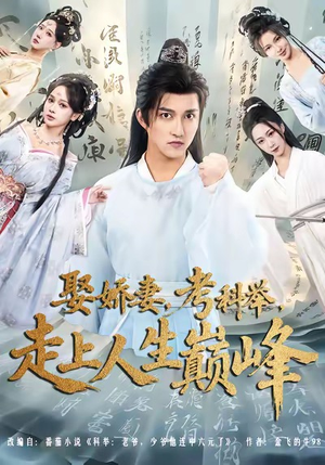 娶娇妻,考科举,走上人生巅峰(80集) 娶娇妻,考科举,走上人生巅峰(80集)热门短剧来袭