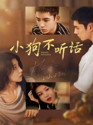 小狗不听话(70集) 小狗不听话(70集)古装热门短剧