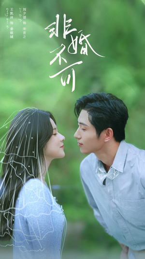 非婚不可(65集) 非婚不可(65集)火爆热门短剧