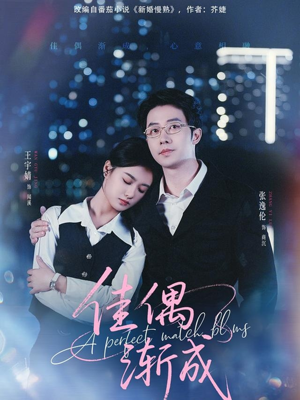 佳偶渐成(71集) 佳偶渐成(71集)热播短剧抢先看