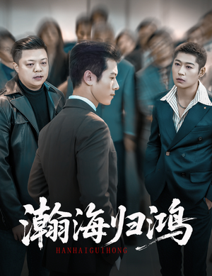 瀚海归鸿(74集) 瀚海归鸿(74集)火爆短剧热播中