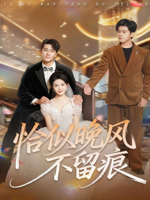 恰似晚风不留痕(61集) 恰似晚风不留痕(61集)古装短剧热播