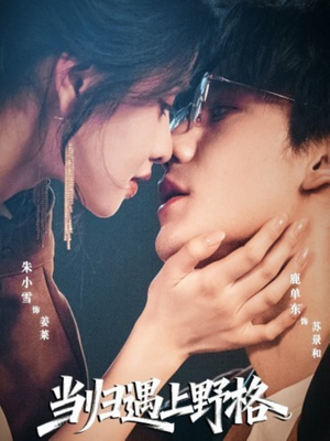 当归遇上野格(66集) 当归遇上野格(66集)360网盘观看