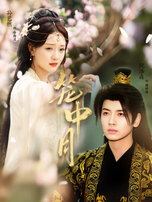 笼中月(65集) 笼中月(65集)全集在线看