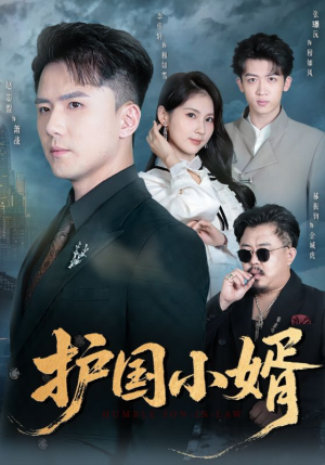护国小婿(60集) 护国小婿(60集)甜宠短剧推荐