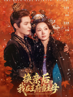 换亲后,我在王府当主母(80集) 换亲后,我在王府当主母(80集)解说