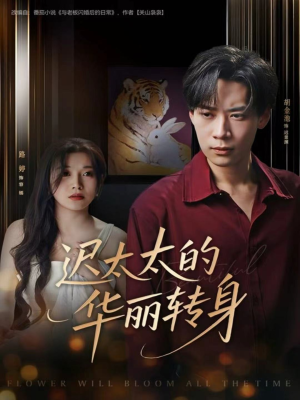 迟太太的华丽转身(80集) 迟太太的华丽转身(80集)全集一网打尽