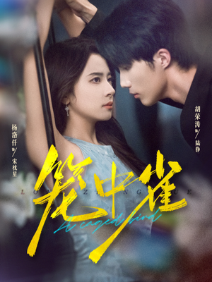 笼中雀(65集) 笼中雀(65集)今日最火短剧