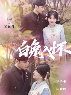 白兔入怀（60集）热门了短剧