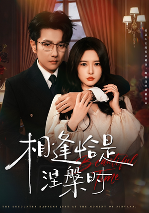 相逢恰是涅槃时（63集）在线看到大结局