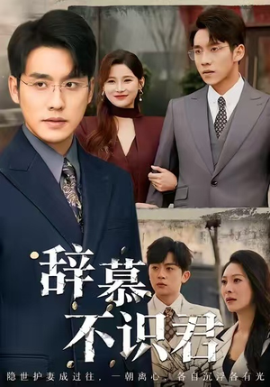 辞慕不识君(77集) 辞慕不识君(77集)免费看